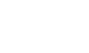 icononly_transparent_nobuffe_white
